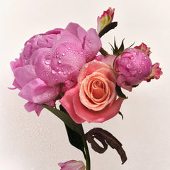 Scent Layering Trio A0
